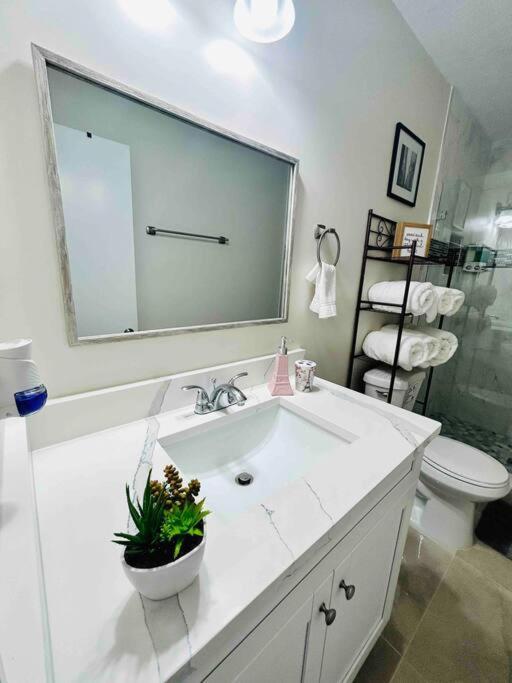 Vintage Family Scape + Heated Pool&Discount Villa Tampa Buitenkant foto