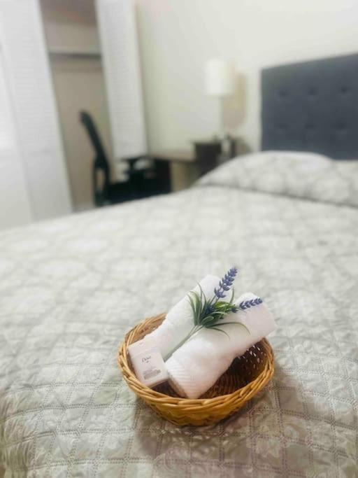 Vintage Family Scape + Heated Pool&Discount Villa Tampa Buitenkant foto