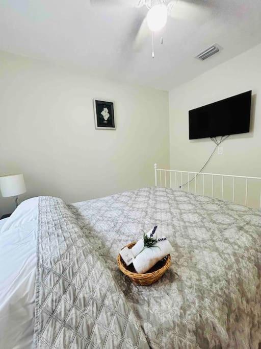 Vintage Family Scape + Heated Pool&Discount Villa Tampa Buitenkant foto