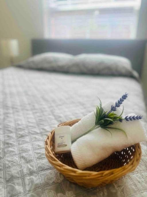 Vintage Family Scape + Heated Pool&Discount Villa Tampa Buitenkant foto