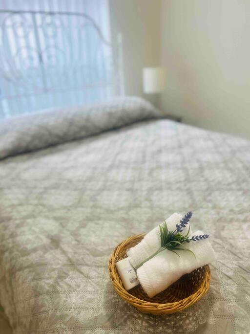 Vintage Family Scape + Heated Pool&Discount Villa Tampa Buitenkant foto